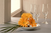 新店運營怎樣規(guī)避一些不必要的坑？