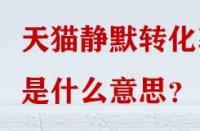 天貓靜默轉(zhuǎn)化率是什么意思？