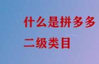 什么是拼多多二級類目？