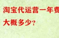淘寶代運營一年費用大概多少？