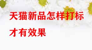 天貓新品怎樣打標(biāo)才有效果 天貓新品怎樣打標(biāo)才有效果