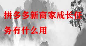 拼多多代運(yùn)營