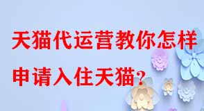 天貓代運(yùn)營(yíng)