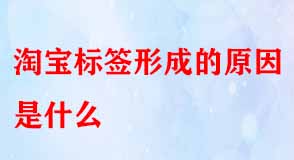 淘寶代運(yùn)營(yíng)
