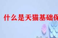 什么是天貓基礎(chǔ)保障？它的作用是什么？