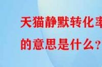 天貓靜默轉(zhuǎn)化率的意思是什么？