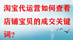 淘寶代運(yùn)營(yíng)