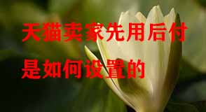 天貓代運(yùn)營 天貓代運(yùn)營