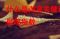 什么是淘寶關(guān)鍵詞展現(xiàn)指數(shù)？它的作用是什么？