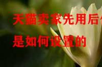 天貓賣(mài)家先用后付是如何設(shè)置的（先用后付的好處有哪些）