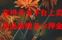 在拼多多平臺上賣化妝品需繳多少押金？