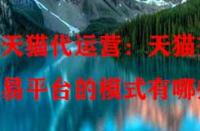 天貓代運(yùn)營：天貓交易平臺的模式有哪些？