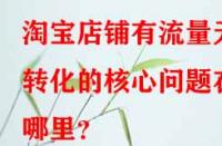 淘寶店鋪有流量無轉(zhuǎn)化的核心問題在哪里？