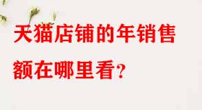 天貓代運(yùn)營