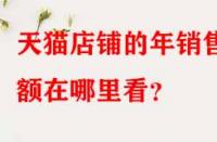 天貓店鋪的年銷售額在哪里看？