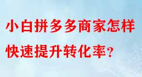 拼多多代運(yùn)營(yíng)