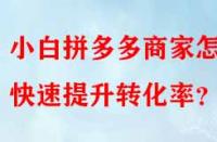 小白拼多多商家怎樣快速提升轉(zhuǎn)化率？