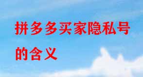 拼多多代運(yùn)營(yíng)