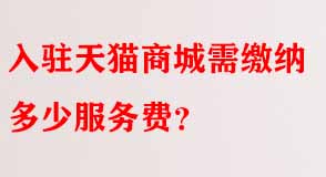天貓代運營 天貓代運營