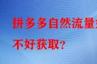 拼多多自然流量好不好獲取？