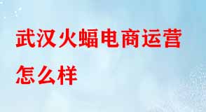 武漢火蝠電商運(yùn)營怎么樣