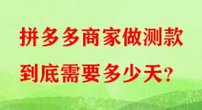 拼多多代運(yùn)營(yíng)