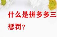 什么是拼多多三級懲罰？