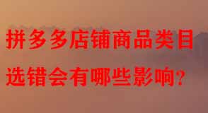 拼多多代運(yùn)營(yíng)