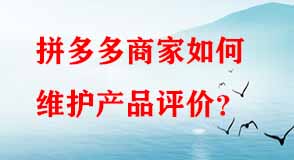 拼多多代運營