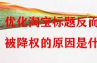 優(yōu)化淘寶標(biāo)題反而被降權(quán)的原因是什么？