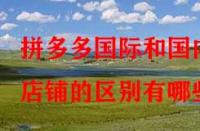 拼多多國(guó)際和國(guó)內(nèi)店鋪的區(qū)別有哪些？