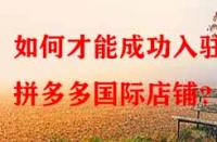 如何才能成功入駐拼多多國(guó)際店鋪？