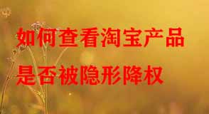 淘寶代運(yùn)營(yíng)