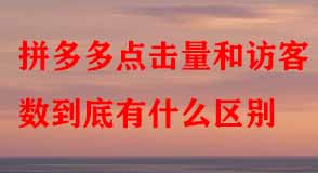 拼多多代運(yùn)營