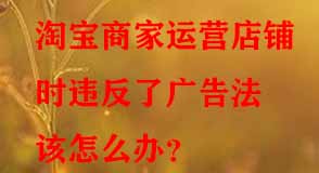 淘寶代運(yùn)營(yíng)