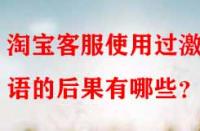 淘寶客服使用過(guò)激言語(yǔ)的后果有哪些？