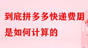 拼多多代運(yùn)營