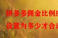拼多多傭金比例應(yīng)設(shè)置為多少才合適？