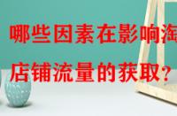 哪些因素在影響淘寶店鋪流量的獲?。?> 
								</a>
								<a class=