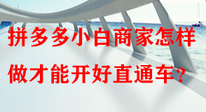 拼多多代運(yùn)營(yíng)