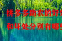 拼多多助農(nóng)的好處和壞處分別有哪些？