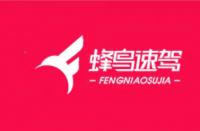 電商好拍檔：攜手“蜂鳥速駕”，輕松打造“明星”網(wǎng)店