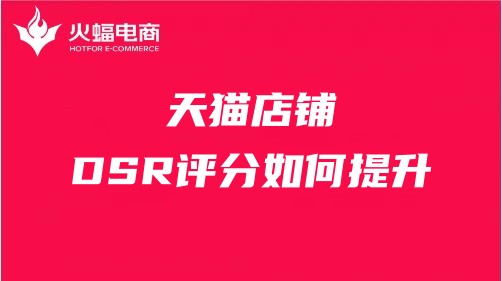 武漢天貓代運(yùn)營(yíng)